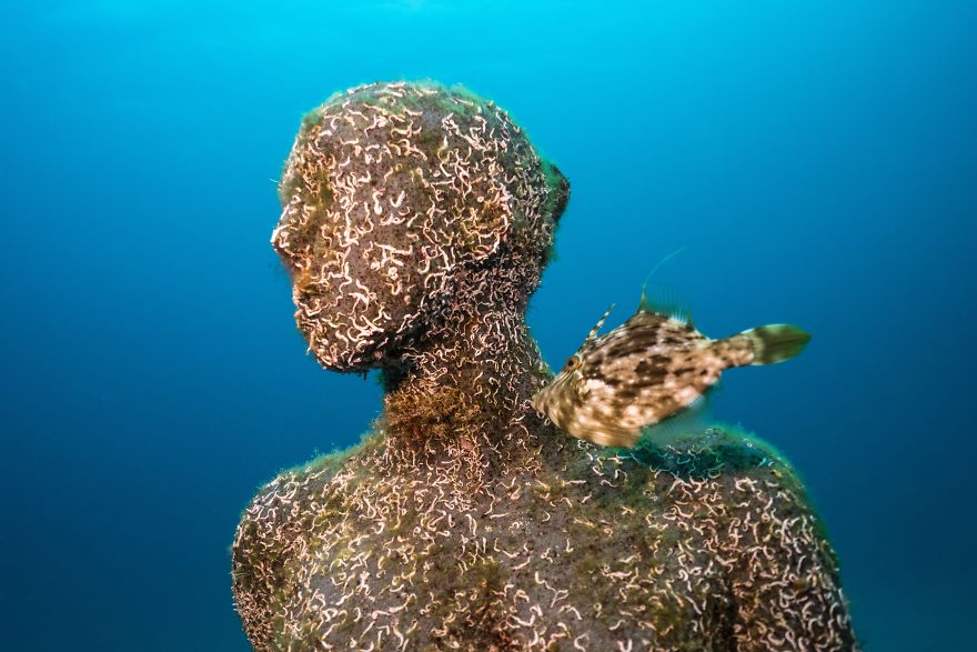 Take A Virtual Dive Into Europe&#8217;s First Underwater Museum