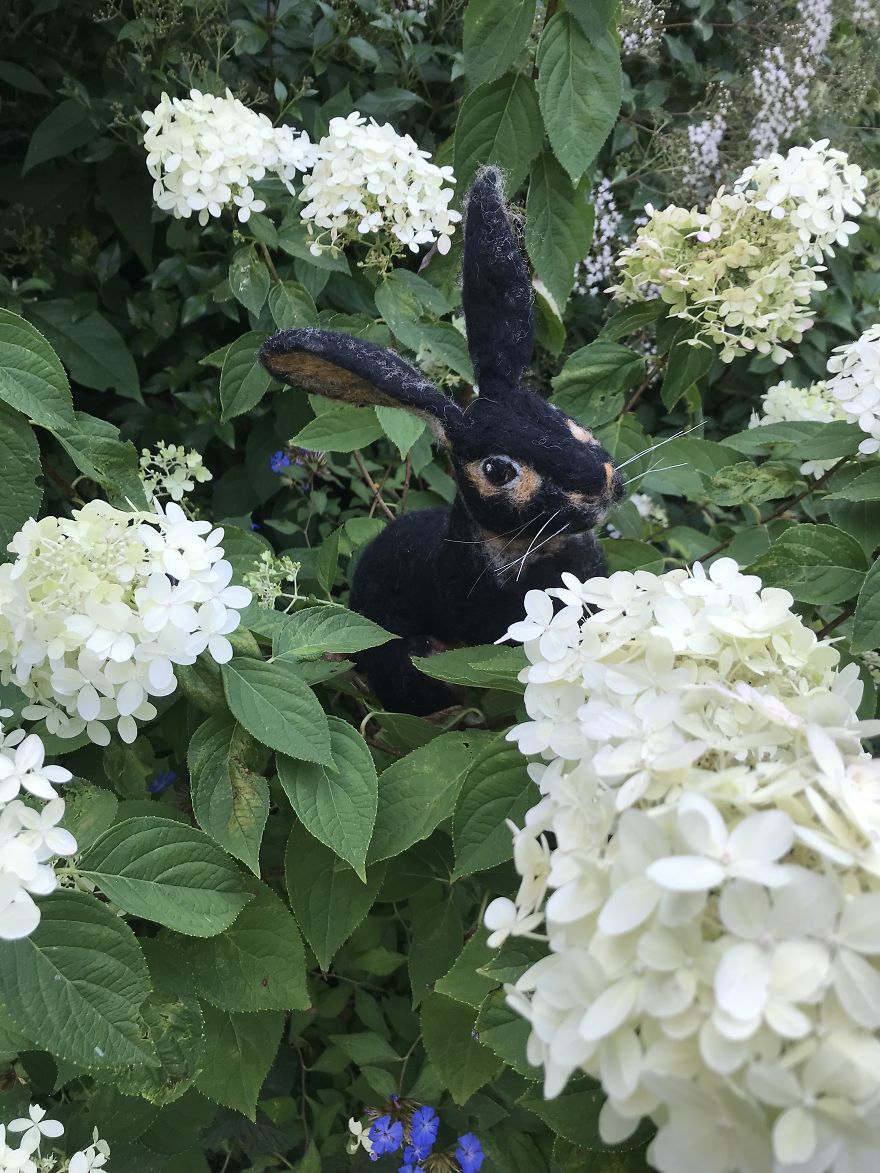 So Many Hours Spent Poking Wool With A Tiny Needle – Such Magical Transformations! So Many Hours Spent Poking Wool With A Tiny Needle – Such Magical Transformations!