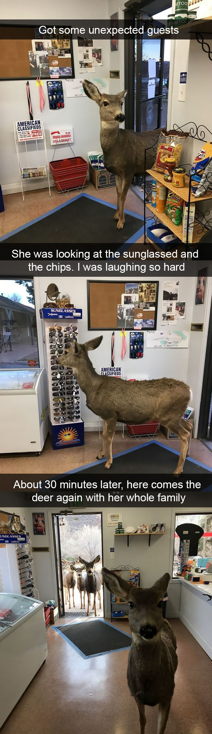 50 Funny Animal Snapchats That Will Leave You With The Biggest Smile