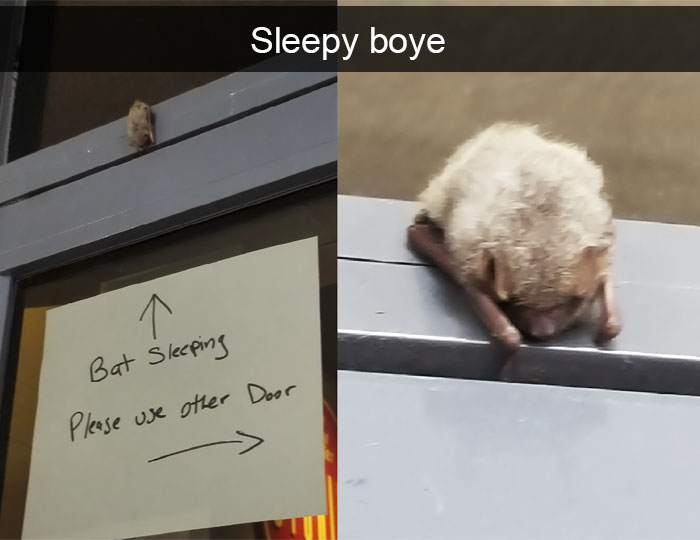 50 Funny Animal Snapchats That Will Leave You With The Biggest Smile