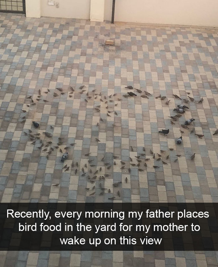 50 Funny Animal Snapchats That Will Leave You With The Biggest Smile