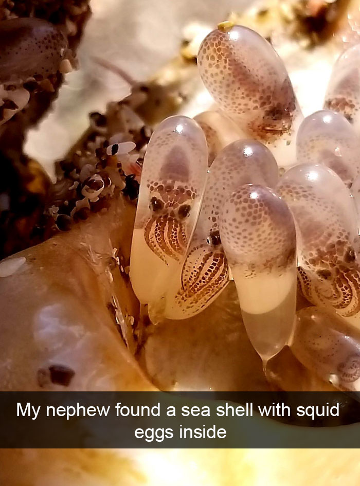 50 Funny Animal Snapchats That Will Leave You With The Biggest Smile