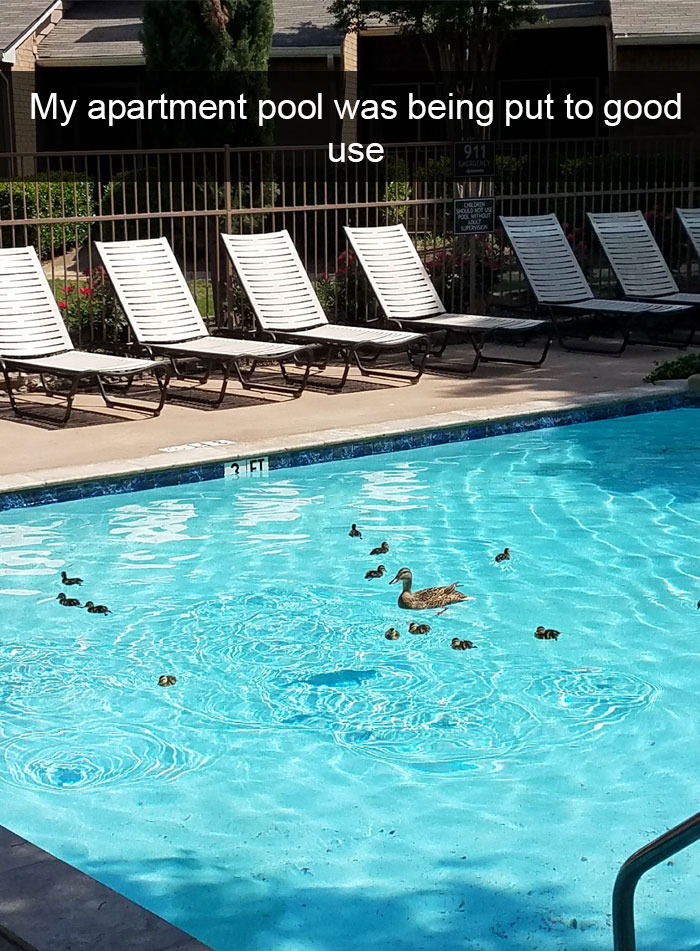 50 Funny Animal Snapchats That Will Leave You With The Biggest Smile