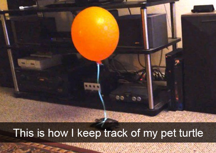 50 Funny Animal Snapchats That Will Leave You With The Biggest Smile