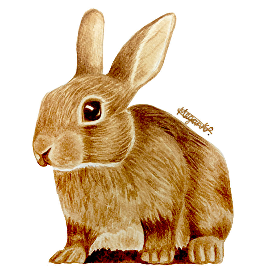 I Paint People And Animal Portraits Using Coffee I Paint People And Animal Portraits Using Coffee