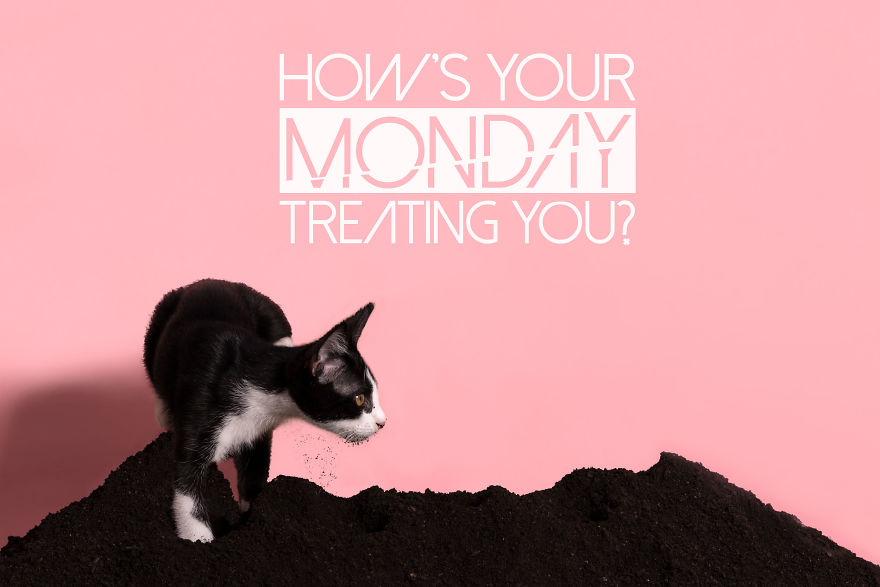 These Photos Will Make You Think Twice About Your Job These Photos Will Make You Think Twice About Your Job