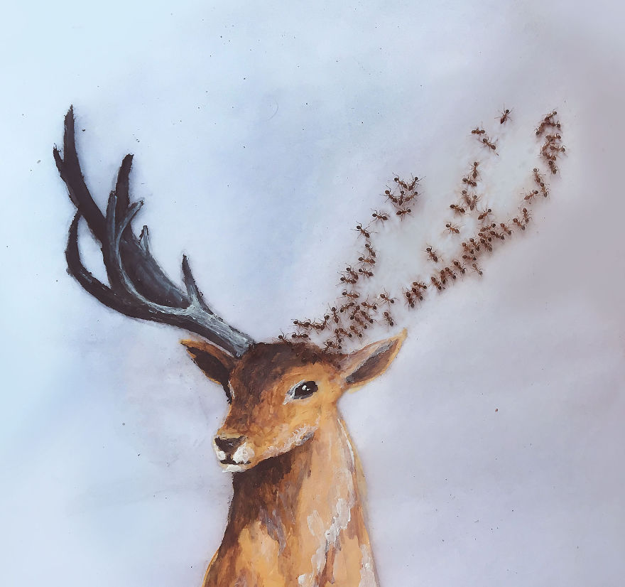 I ‘Pay’ Ants In Sugar To Help Me Finish My Animal Paintings (12 Pics) I ‘Pay’ Ants In Sugar To Help Me Finish My Animal Paintings (12 Pics)
