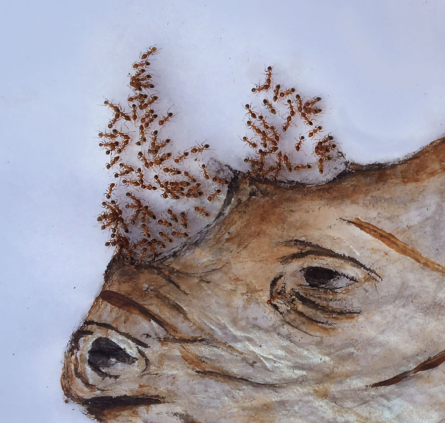 I ‘Pay’ Ants In Sugar To Help Me Finish My Animal Paintings (12 Pics) I ‘Pay’ Ants In Sugar To Help Me Finish My Animal Paintings (12 Pics)