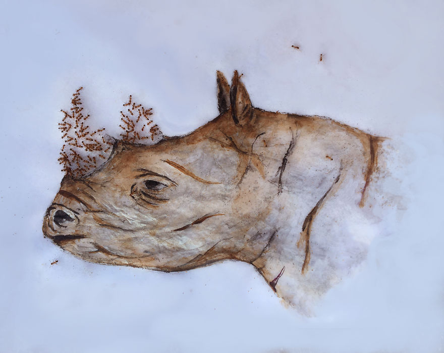 I ‘Pay’ Ants In Sugar To Help Me Finish My Animal Paintings (12 Pics) I ‘Pay’ Ants In Sugar To Help Me Finish My Animal Paintings (12 Pics)