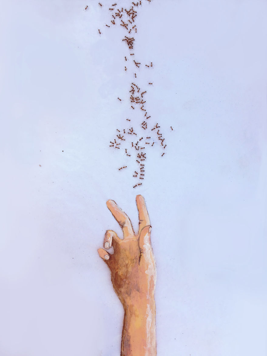I ‘Pay’ Ants In Sugar To Help Me Finish My Animal Paintings (12 Pics) I ‘Pay’ Ants In Sugar To Help Me Finish My Animal Paintings (12 Pics)