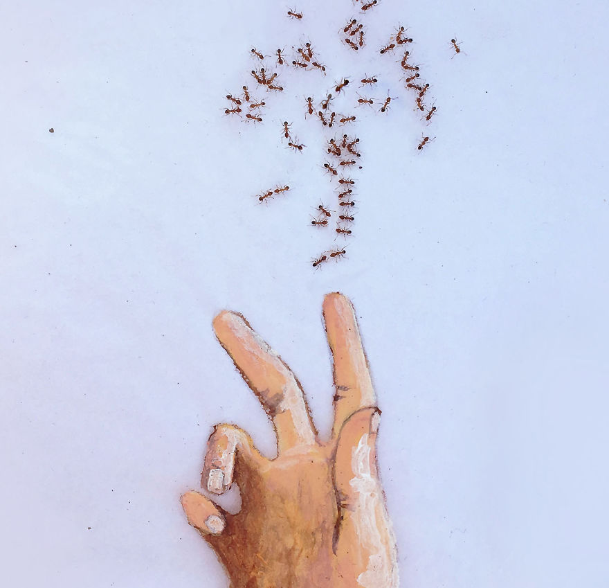 I ‘Pay’ Ants In Sugar To Help Me Finish My Animal Paintings (12 Pics) I ‘Pay’ Ants In Sugar To Help Me Finish My Animal Paintings (12 Pics)
