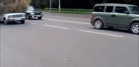 82 Dumb Drivers Who Should Not Be Allowed On The Road 82 Dumb Drivers Who Should Not Be Allowed On The Road