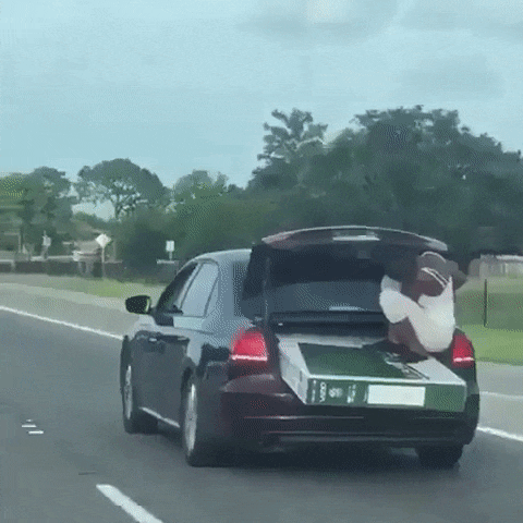 82 Dumb Drivers Who Should Not Be Allowed On The Road 82 Dumb Drivers Who Should Not Be Allowed On The Road