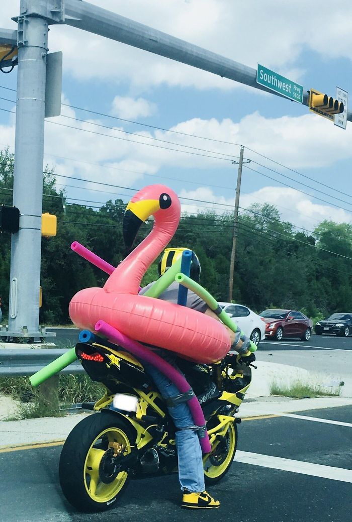 82 Dumb Drivers Who Should Not Be Allowed On The Road 82 Dumb Drivers Who Should Not Be Allowed On The Road