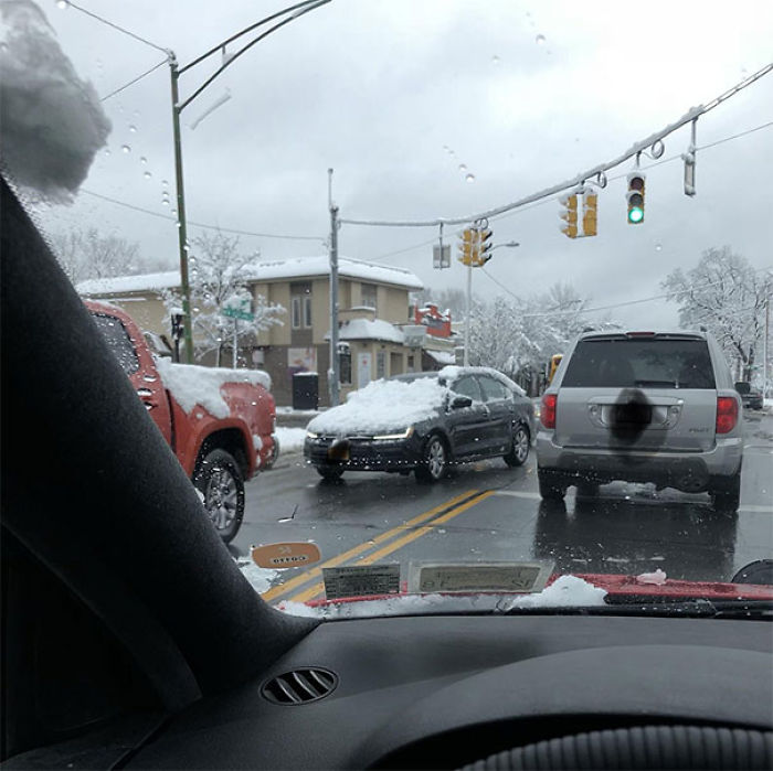 82 Dumb Drivers Who Should Not Be Allowed On The Road 82 Dumb Drivers Who Should Not Be Allowed On The Road