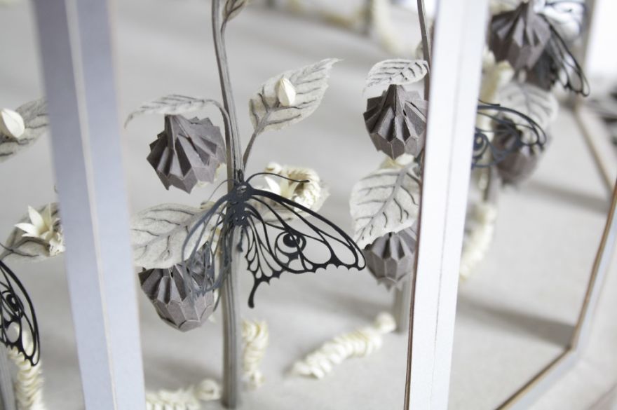 I’m Building A Unique Attraction In Which You Experience The Metamorphosis Of A Butterfly! I’m Building A Unique Attraction In Which You Experience The Metamorphosis Of A Butterfly!