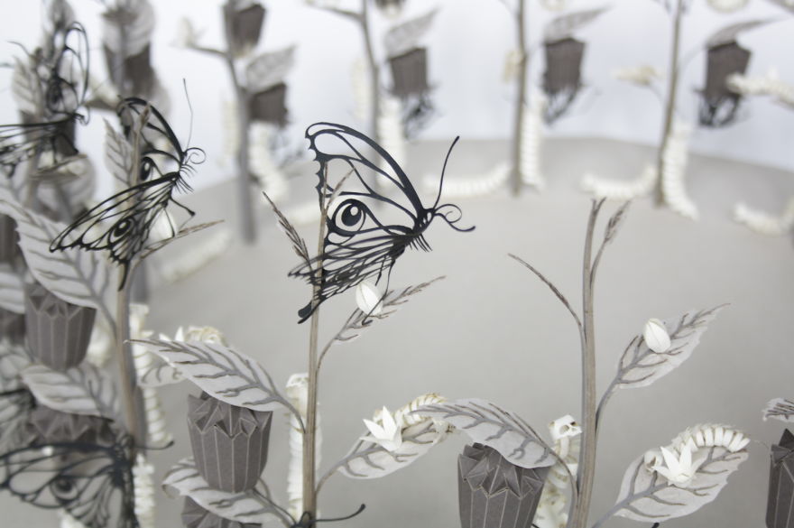 I’m Building A Unique Attraction In Which You Experience The Metamorphosis Of A Butterfly! I’m Building A Unique Attraction In Which You Experience The Metamorphosis Of A Butterfly!