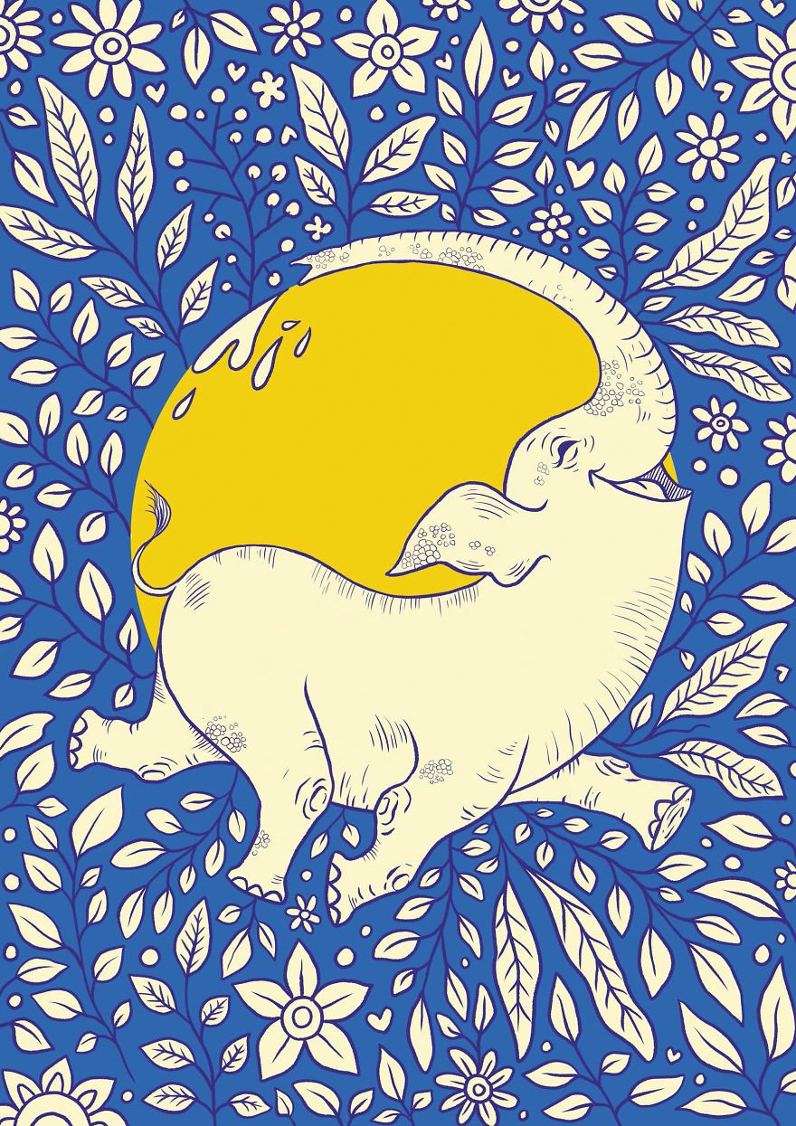 Jolly Nature Jolly Nature