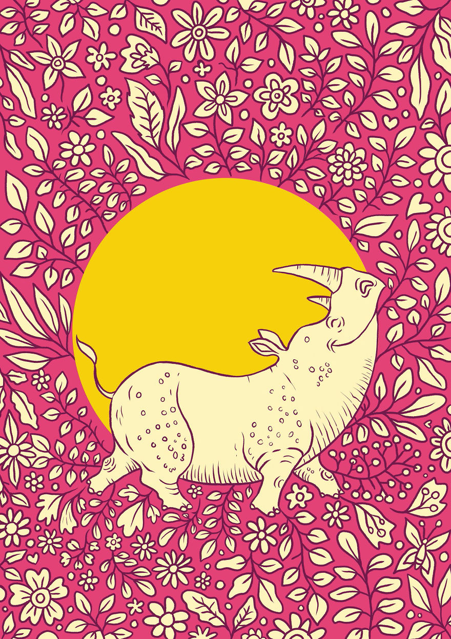 Jolly Nature Jolly Nature