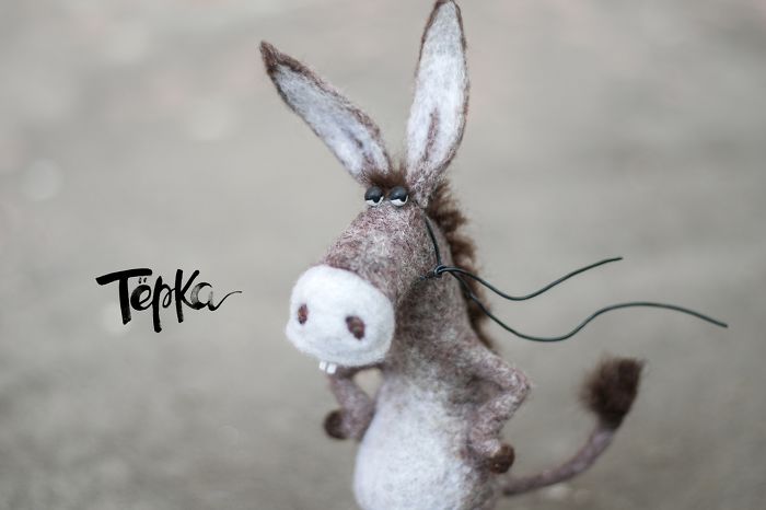 Why The Donkey Has Such Long, Long Ears? Why The Donkey Has Such Long, Long Ears?