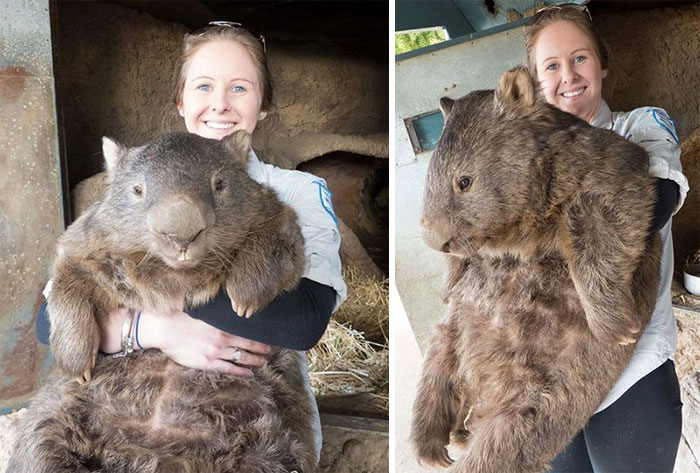 32 Things That Are Surprisingly Bigger Than You Probably Thought