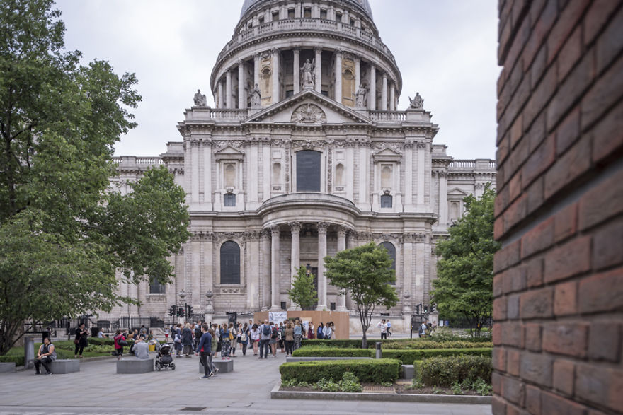 I Created A Secret Forest In The Very Heart Of London