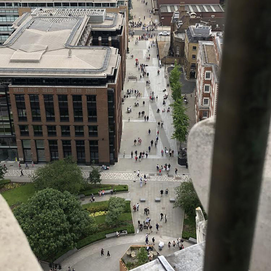 I Created A Secret Forest In The Very Heart Of London