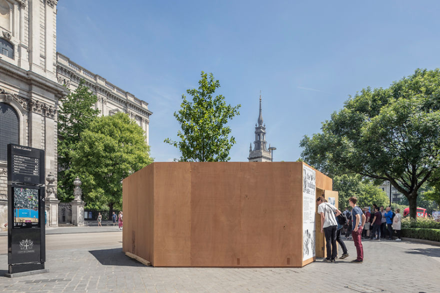 I Created A Secret Forest In The Very Heart Of London