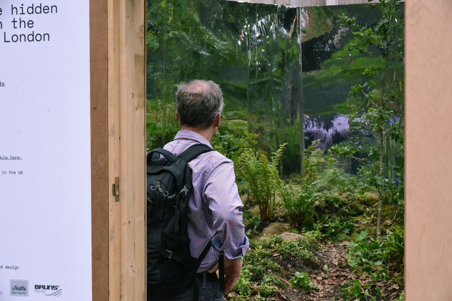 I Created A Secret Forest In The Very Heart Of London