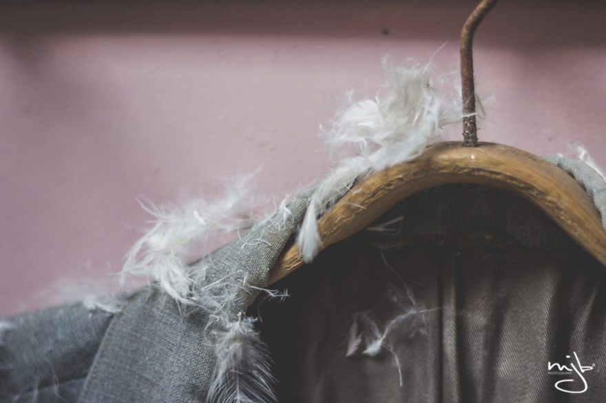 I Photographed The Best-Kept Bedroom Secrets Of All Times I Photographed The Best-Kept Bedroom Secrets Of All Times