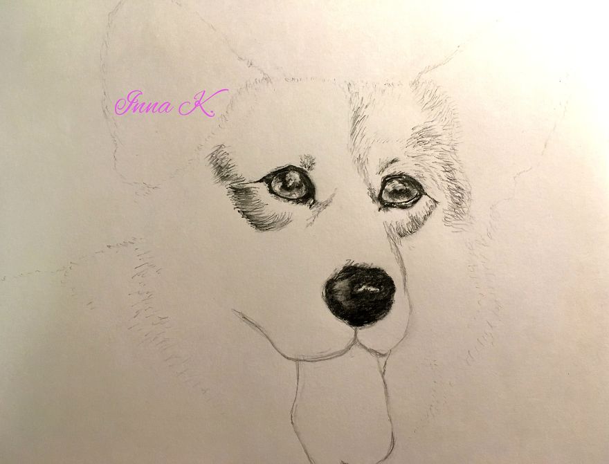 I Make Exclusive, Life-Like Portraits Of Pets And Here Is The Progress I Make Exclusive, Life-Like Portraits Of Pets And Here Is The Progress