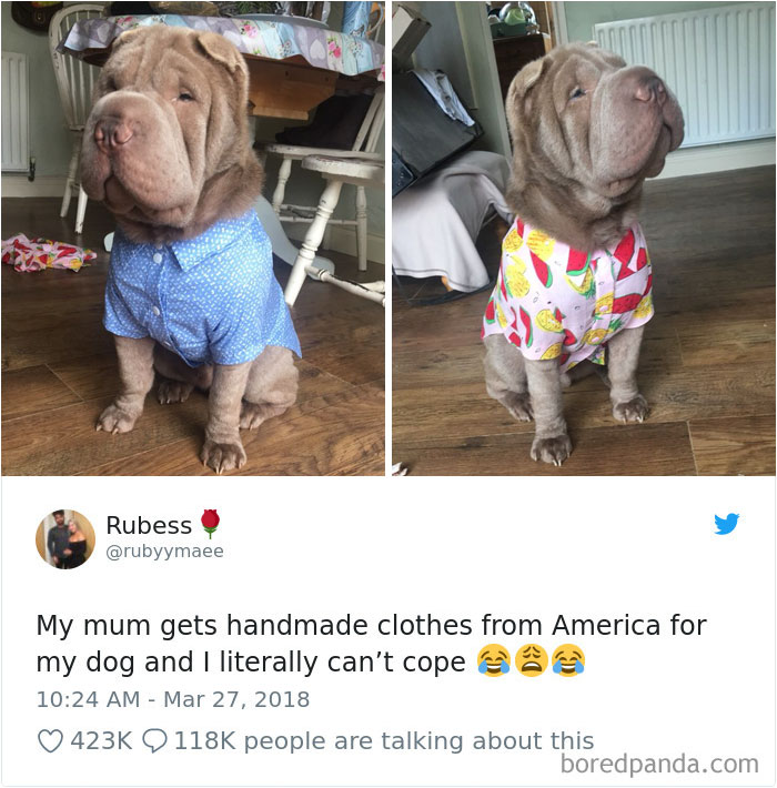 233 Funny Dog Tweets Every Dog Owner Should See ASAP