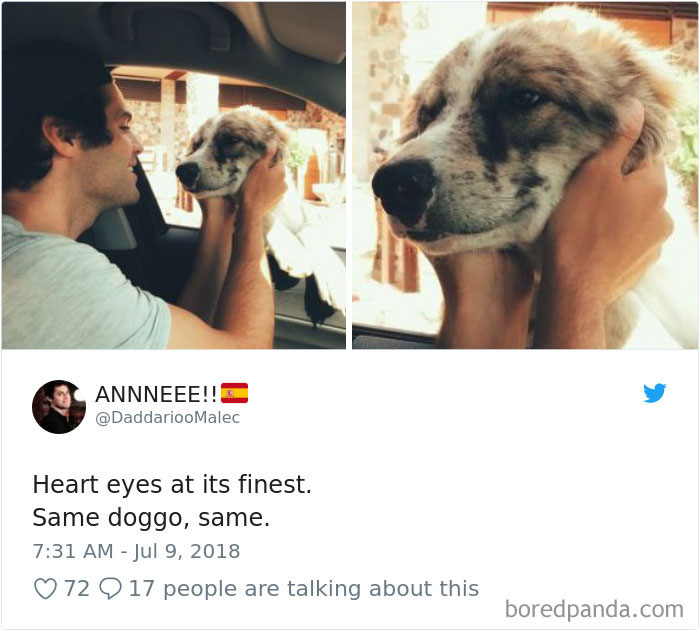 233 Funny Dog Tweets Every Dog Owner Should See ASAP