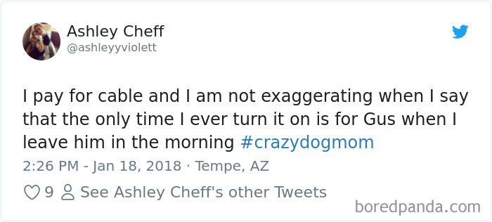 233 Funny Dog Tweets Every Dog Owner Should See ASAP