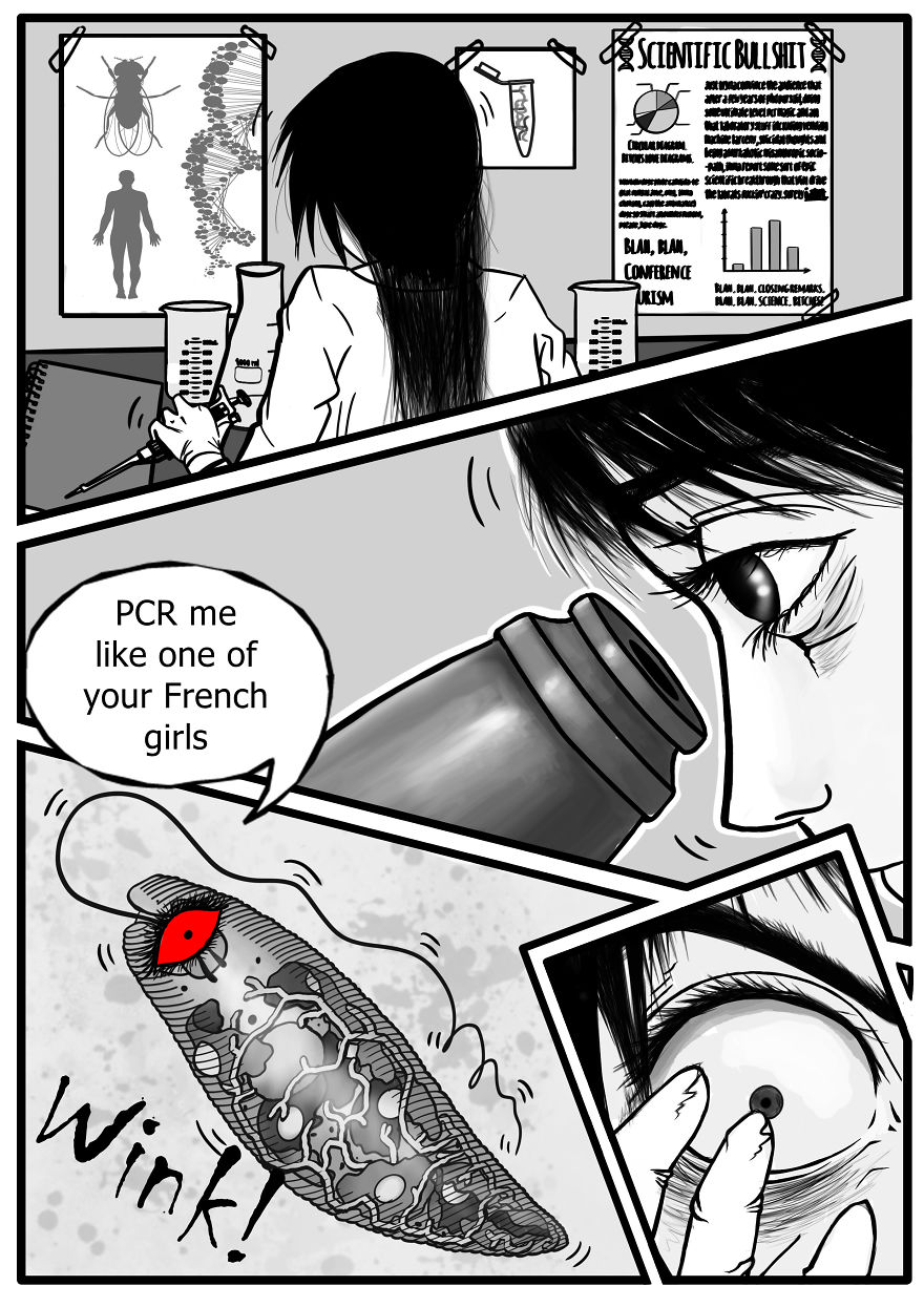 I Draw Silly Pictures About My Life As A Phd Candidate I Draw Silly Pictures About My Life As A Phd Candidate