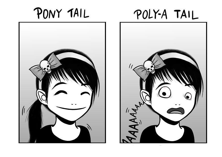 I Draw Silly Pictures About My Life As A Phd Candidate I Draw Silly Pictures About My Life As A Phd Candidate