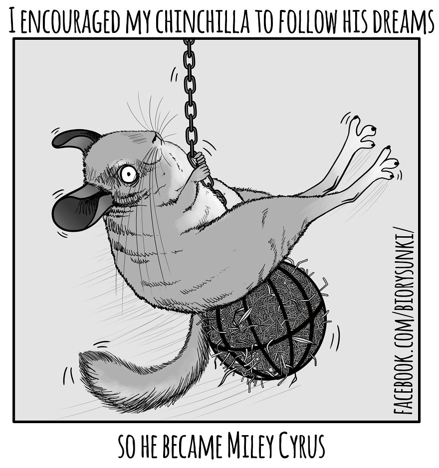 I Draw Silly Pictures About My Life As A Phd Candidate I Draw Silly Pictures About My Life As A Phd Candidate