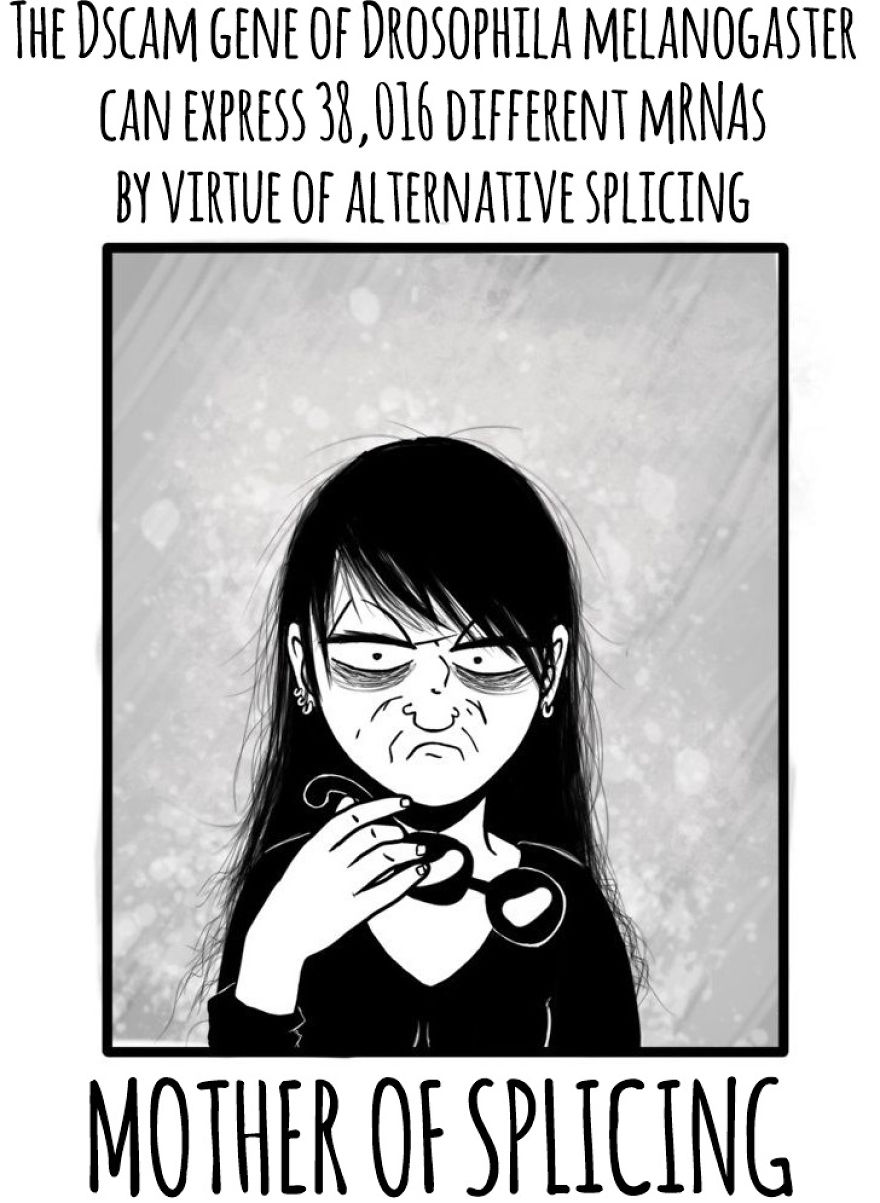 I Draw Silly Pictures About My Life As A Phd Candidate I Draw Silly Pictures About My Life As A Phd Candidate