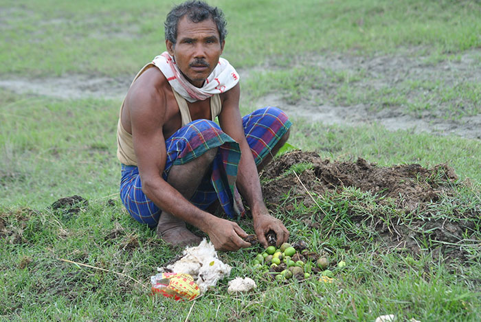 Almost 40 Years Ago A 16-Year-Old Started Planting A Tree Every Day On A Remote Island, And Now It’s Unrecognizable Almost 40 Years Ago A 16-Year-Old Started Planting A Tree Every Day On A Remote Island, And Now It’s Unrecognizable