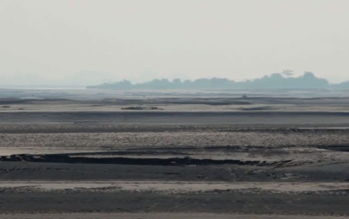 Almost 40 Years Ago A 16-Year-Old Started Planting A Tree Every Day On A Remote Island, And Now It’s Unrecognizable Almost 40 Years Ago A 16-Year-Old Started Planting A Tree Every Day On A Remote Island, And Now It’s Unrecognizable
