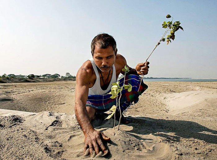 Almost 40 Years Ago A 16-Year-Old Started Planting A Tree Every Day On A Remote Island, And Now It’s Unrecognizable Almost 40 Years Ago A 16-Year-Old Started Planting A Tree Every Day On A Remote Island, And Now It’s Unrecognizable