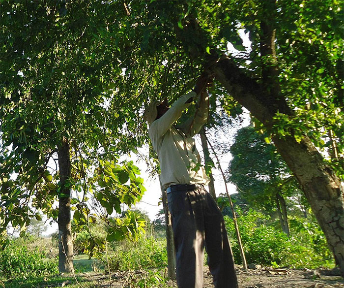 Almost 40 Years Ago A 16-Year-Old Started Planting A Tree Every Day On A Remote Island, And Now It’s Unrecognizable Almost 40 Years Ago A 16-Year-Old Started Planting A Tree Every Day On A Remote Island, And Now It’s Unrecognizable