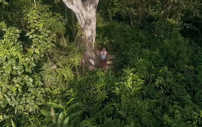 Almost 40 Years Ago A 16-Year-Old Started Planting A Tree Every Day On A Remote Island, And Now It’s Unrecognizable Almost 40 Years Ago A 16-Year-Old Started Planting A Tree Every Day On A Remote Island, And Now It’s Unrecognizable