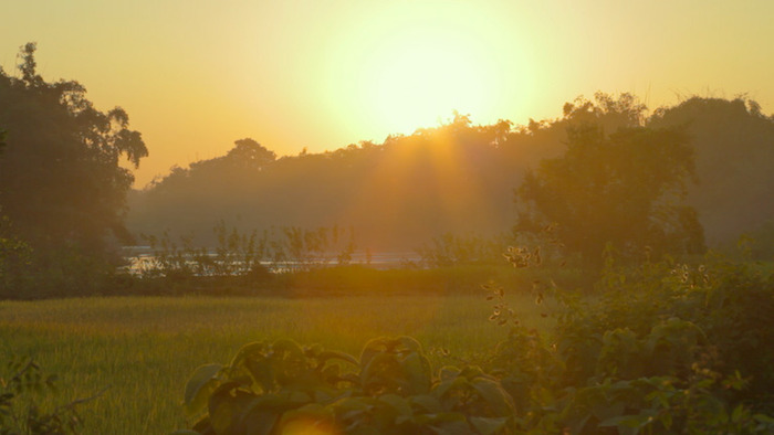 Almost 40 Years Ago A 16-Year-Old Started Planting A Tree Every Day On A Remote Island, And Now It’s Unrecognizable Almost 40 Years Ago A 16-Year-Old Started Planting A Tree Every Day On A Remote Island, And Now It’s Unrecognizable