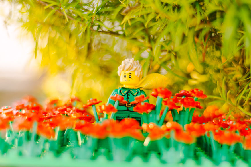 Photographer Pictures Iconic Scenes From The Book &#8220;The Little Prince&#8221; With Lego