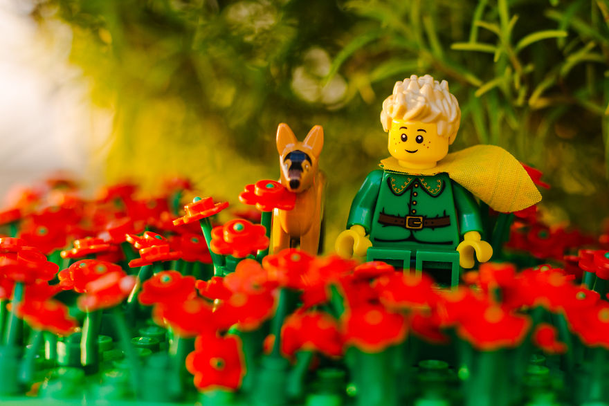 Photographer Pictures Iconic Scenes From The Book &#8220;The Little Prince&#8221; With Lego