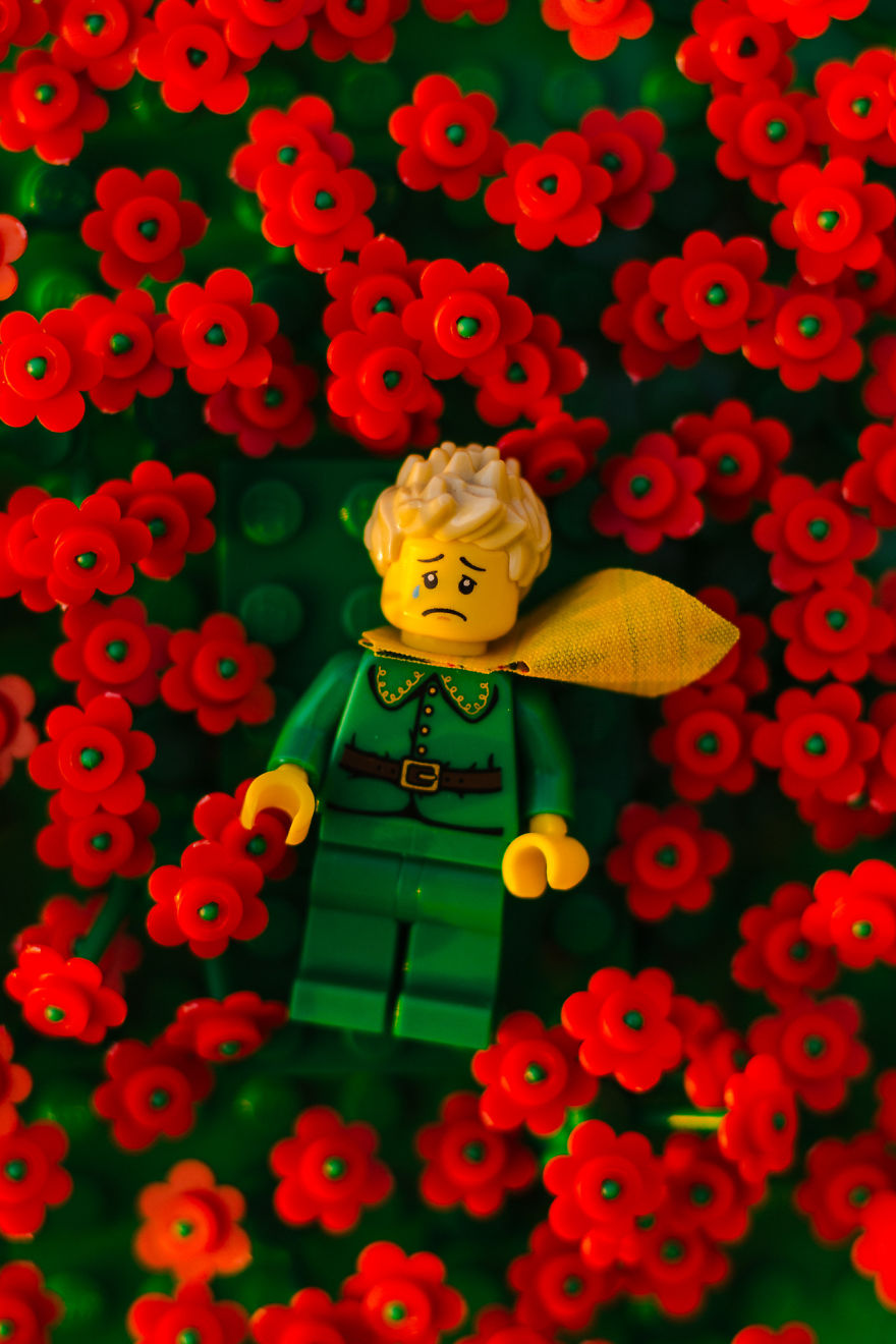Photographer Pictures Iconic Scenes From The Book &#8220;The Little Prince&#8221; With Lego