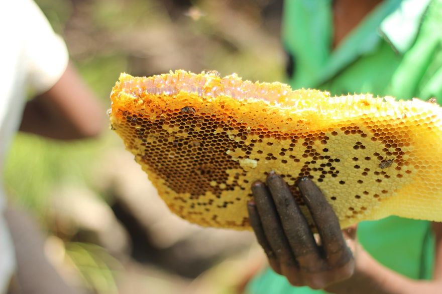 I Documented The Heavenly Munnar