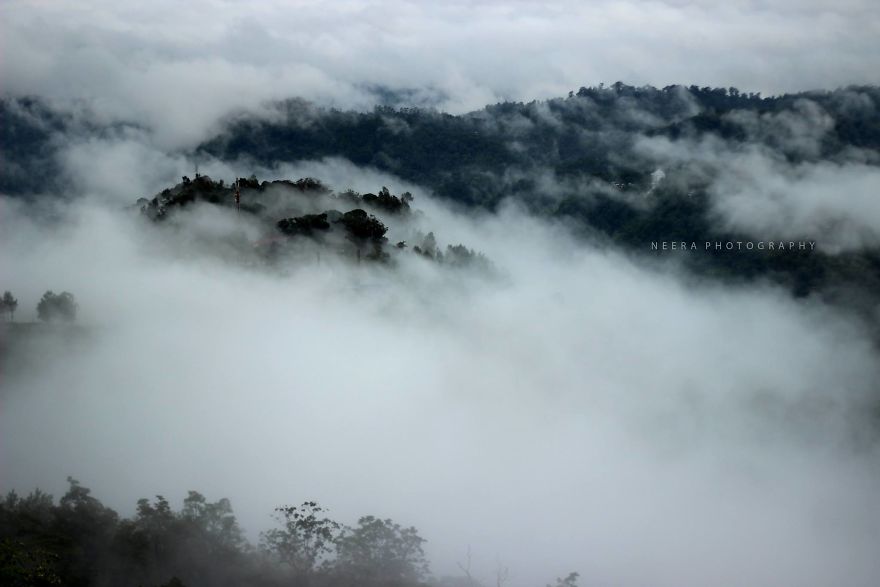 I Documented The Heavenly Munnar