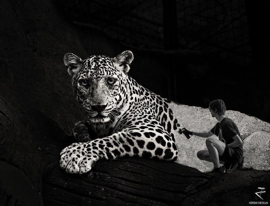 52 Surreal Photo Manipulations That I Created 52 Surreal Photo Manipulations That I Created